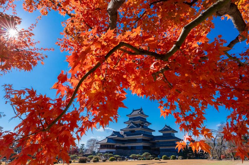 Lâu đài Matsumoto bảo vật Nhật Bản mang giá trị trường tồn